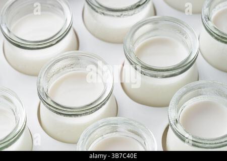 Vista ravvicinata di piccoli vasetti con yogurt fatto in casa appena preparato Foto Stock