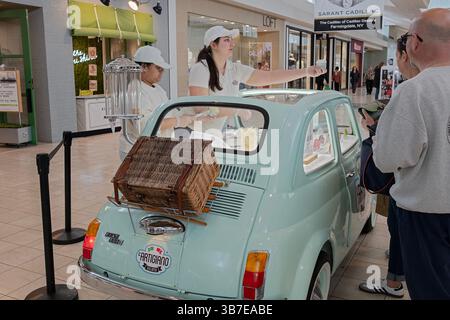2 giovani signore che vendono gelato l'Artigiano da un'automobile Fiat 500L. Nella hall del Walt Whitman Mall di Huntington, Long Islnd, New York. Foto Stock