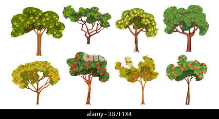 Set di alberi da frutto. Albicocca vettoriale e mela, ciliegia e prugna, pera e pesca, melograno e mandarino. Collezione di piante o legni. Agricoltura vegana e giardino vegetariano. Frutteto naturale e flora. Illustrazione Vettoriale