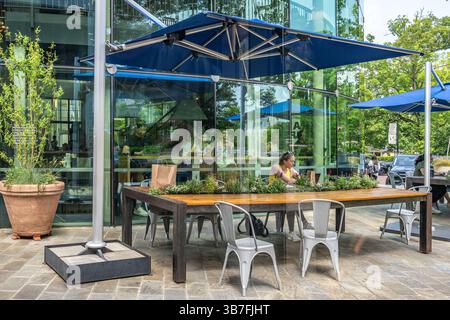 Il Brash Coffee Roaster offre posti a sedere all'interno e all'esterno dell'Atlanta History Center a Buckhead, Atlanta, Georgia. (USA) Foto Stock