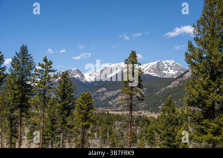 Aspenglen Trail, Rocky Mountain National Park, Colorado. Foto Stock