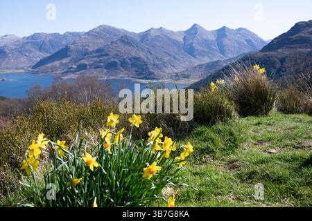 La vecchia strada militare da Sheil Bridge a Glenelg, nelle Highlands scozzesi, conduce al Mam Ratagan Pass con viste mozzafiato sul Loch Duich Foto Stock