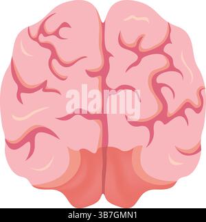 Illustrazione del vettore di progettazione dell'anatomia cerebrale umana Illustrazione Vettoriale