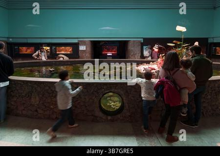 La famiglia ama una mostra al coperto con una mostra acquatica centrale con diverse forme di vita marina presso l'acquario Aquário Vasco da Gama di Lisbona, Portogallo Foto Stock