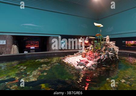 Mostra al coperto con una mostra acquatica centrale con diverse forme di vita marina presso l'acquario Aquário Vasco da Gama di Lisbona, Portogallo, Europa Foto Stock