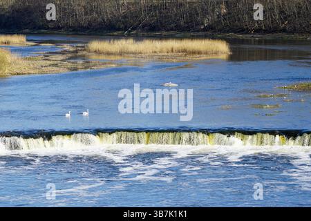 Cascata del fiume Ventas o Ventas Rumba a Kuldiga, Lettonia, soleggiato paesaggio primaverile Foto Stock