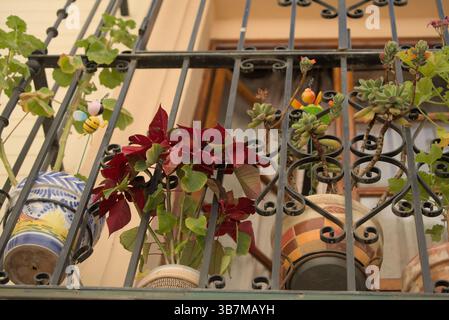 Balcone con piante in vaso e vasi decorativi in ceramica dietro ringhiera in ferro battuto a Siviglia, Andalusia, Spagna. Siviglia, Spagna Foto Stock