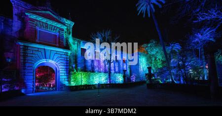 Spettacolo di luci notturno ai Giardini dell'Alcazar di Siviglia, Andalusia, Spagna Foto Stock