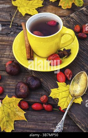 Tazza gialla con tè, prodotta nel tè con frutti di bosco di rosa-cane sullo sfondo di foglie e castagne Foto Stock