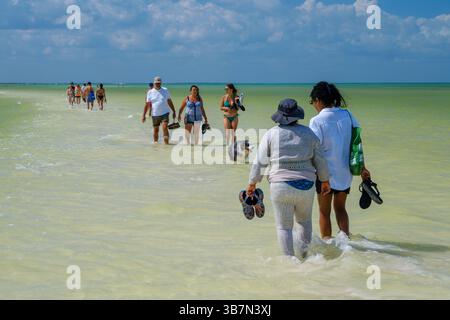 Holbox, Messico – 10 febbraio 2025: Gruppi di turisti e un cane si divertono a passeggiare attraverso le acque poco profonde dell'iconico banco di sabbia vicino a Punta Mosquito On Foto Stock