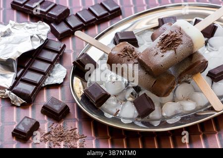 Gelato alla vaniglia al cioccolato su un bastoncino su un piatto d'argento con ghiaccio e pezzi di cioccolato vicino a pezzi di cioccolato su sfondo cioccolato. Papaveri al cioccolato e vaniglia. Orizzontale. Foto Stock