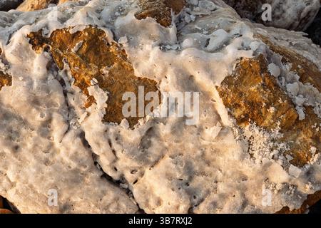 Una vista ravvicinata che mostra le formazioni saline uniche incrostate su rocce sul bordo del mare morto, brillando alla luce del sole Foto Stock