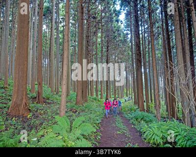 Escursionisti sul Michinoku Coastal Trail Foto Stock