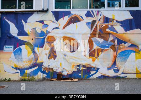 Un colorato murale lungo Astro Alley a Mount Pleasant, Vancouver, British Columbia. Foto Stock