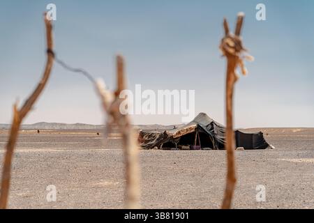 Un campo nomade nel deserto del Sahara, in Marocco Foto Stock