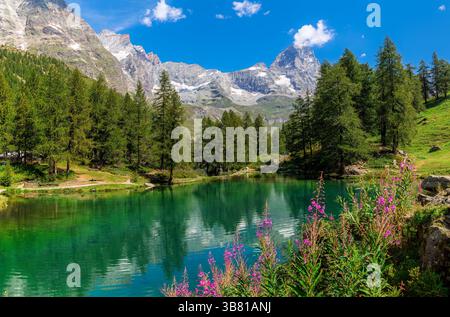 Lago Blu circondato da vegetazione lussureggiante e vibranti fiori selvatici sotto un cielo azzurro come la catena montuosa e la vetta del Cervino sullo sfondo. In Italia. Foto Stock