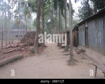 Questa immagine raffigura un sentiero sterrato che conduce attraverso un ambiente rurale nebbioso; il percorso è fiancheggiato da alberi alti, fitte fogliame ed edifici rustici in una Foto Stock