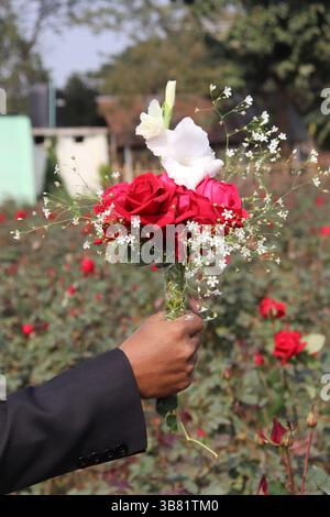 Primo piano mostra una mano dalla pelle scura con un abito nero che regge un bouquet con rose rosse, un solo gladiolo bianco e il respiro del bambino, contro una rosa g Foto Stock