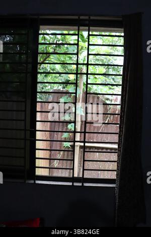 L'immagine mostra una finestra in metallo nero con vista su un cortile con capannone in metallo e lussureggianti foglie verdi. Le tende floreali oscurano i bassifondi della finestra Foto Stock
