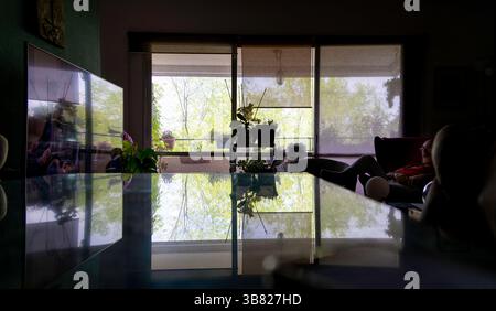 Un soggiorno con una grande finestra e piante in vaso. Un uomo riposa sul divano. La sala è poco illuminata e il riflesso delle piante e della finestra Foto Stock