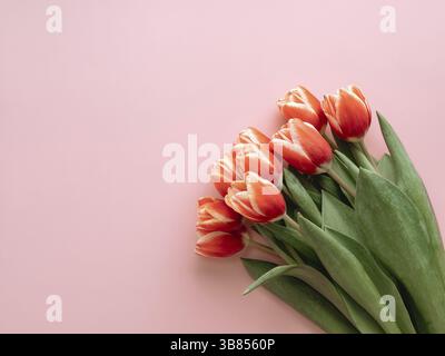 Sfondo estetico con mazzo di tulipani rossi su sfondo rosa. Immagine verticale di tulipani perfetti con spazio di copia per il testo. Fiori di primavera. Vendita Tuli Foto Stock