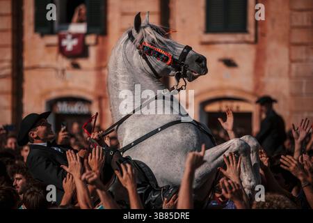 23 giugno 2024, Ciutadella De Menorca, Isole Baleari, Spagna: Un "caixer" (cavaliere) si alza sul suo cavallo circondato da una folla di tifo durante la "Caragol des Born" (parata di cavalli) alla vigilia della tradizionale festa di Sant Joan (San Giovanni). (Immagine di credito: © Matthias Oesterle/ZUMA Press Wire) Foto Stock