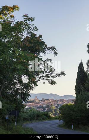 View of Montescudaio, a historic Tuscan hilltop village, framed by lush greenery and soft evening light in the Italian countryside Foto Stock