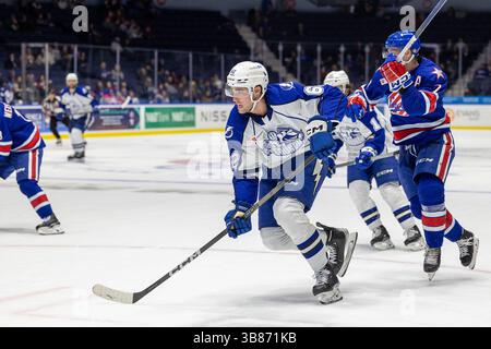 28 febbraio 2024: L'attaccante dei Syracuse Crunch Jack Finley (62) pattina nel primo periodo contro i Rochester Americans. I Rochester Americans ospitarono i Syracuse Crunch in una partita della American Hockey League alla Blue Cross Arena di Rochester, New York. (Jonathan Tenca/CSM) (immagine di credito: © Jonathan Tenca/CSM via ZUMA Press Wire) Foto Stock