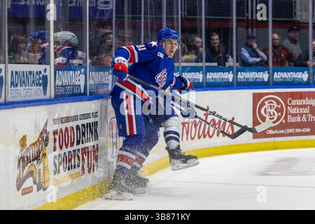 28 febbraio 2024: Brett Murray (81) pattina nel secondo periodo contro il Syracuse Crunch. I Rochester Americans ospitarono i Syracuse Crunch in una partita della American Hockey League alla Blue Cross Arena di Rochester, New York. (Jonathan Tenca/CSM) (immagine di credito: © Jonathan Tenca/CSM via ZUMA Press Wire) Foto Stock