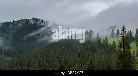 Nuvole sulla foresta di montagna subito dopo la pioggia. Vista delle montagne parzialmente nascoste dalle nuvole, subito dopo la pioggia. Foto Stock