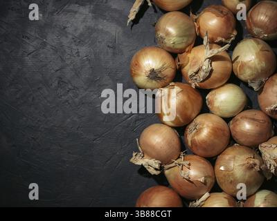 Cipolle gialle fresche su sfondo nero in cemento. Cipolle con spazio di copia. Cipolle fresche in basso. Luce dura. Vista dall'alto Foto Stock