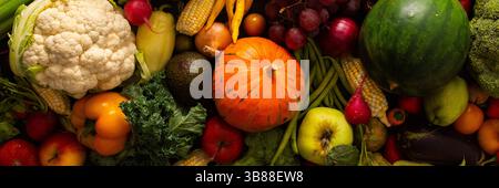 La raccolta autunnale porta verdure fresche e biologiche, mature, salutari e pronte per essere gustate in pasti sani, da fattoria a tavola, biologici Foto Stock