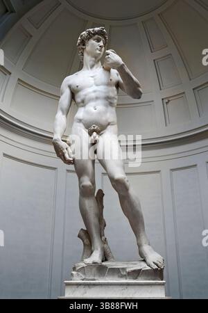David - marmo bianco di Carrara - Michelangelo Buonarroti - 1501/1504 - Firenze , Galleria dell'Accademia Foto Stock