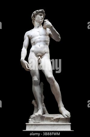 David - marmo bianco di Carrara - Michelangelo Buonarroti - 1501/1504 - Firenze , Galleria dell'Accademia Foto Stock