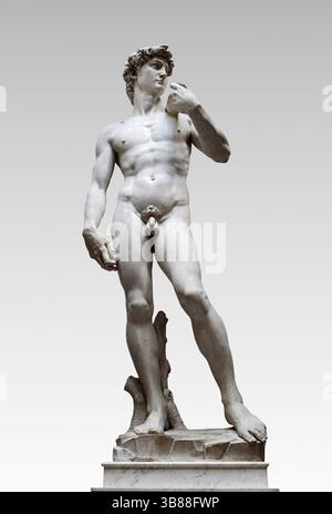 David - marmo bianco di Carrara - Michelangelo Buonarroti - 1501/1504 - Firenze , Galleria dell'Accademia Foto Stock