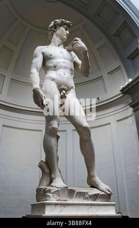 David - marmo bianco di Carrara - Michelangelo Buonarroti - 1501/1504 - Firenze , Galleria dell'Accademia Foto Stock