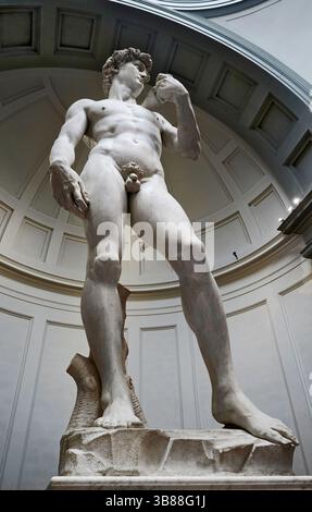 David - marmo bianco di Carrara - Michelangelo Buonarroti - 1501/1504 - Firenze , Galleria dell'Accademia Foto Stock
