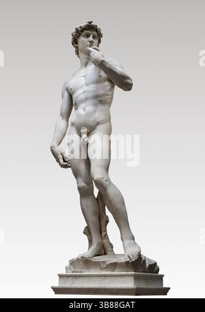David - marmo bianco di Carrara - Michelangelo Buonarroti - 1501/1504 - Firenze , Galleria dell'Accademia Foto Stock
