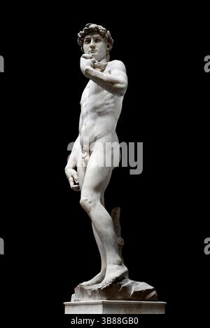David - marmo bianco di Carrara - Michelangelo Buonarroti - 1501/1504 - Firenze , Galleria dell'Accademia Foto Stock