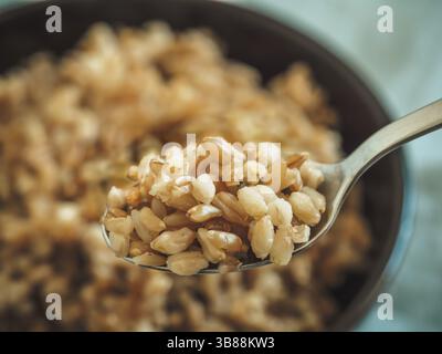 Il farro bollito in cucchiaio e non focalizzato nel recipiente. Il farro cotto semi in fuoco selettivo. Spazio di copia Foto Stock