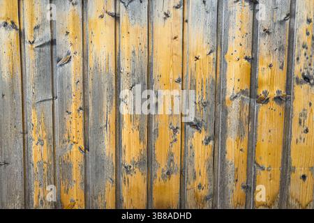 Primo piano di pareti in legno intemperie con vernice sbucciante e texture naturale. Sfondo rustico astratto, nessuna gente. Foto Stock