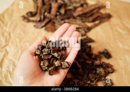 Mani che tengono in mano prodotti naturali essiccati a base di polmone di manzo in piccole forme a cubetti. Sano, senza cereali snack per cani ad alto contenuto di proteine e ideale per l'allenamento. M Foto Stock