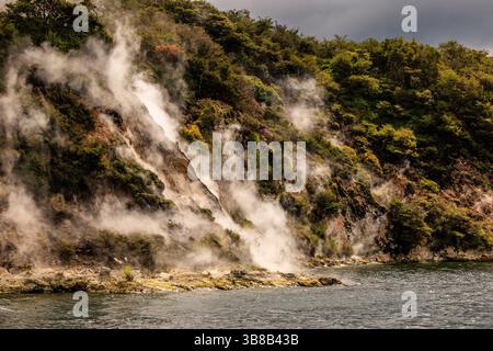 vista delle rive del lago rotomahana a rotorua con il vapore che sale dalle sorgenti termali e dai geyser Foto Stock