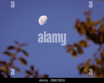 Bel colpo di luna durante le ore del tardo pomeriggio. Foto Stock