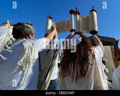 13 novembre 2023, Washington, Distretto di Columbia, USA: I rabbini tengono in piedi le torah lette durante un servizio di preghiera mattutino che chiedeva un cessate il fuoco a Gaza e il rilascio degli ostaggi. (Immagine di credito: © sue Dorfman/ZUMA Press Wire) Foto Stock