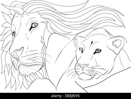 Dettagliate illustrazioni in bianco e nero con un primo piano di un maestoso leone maschile con una criniera fluente e una potente leonessa. Perfetto per col Illustrazione Vettoriale