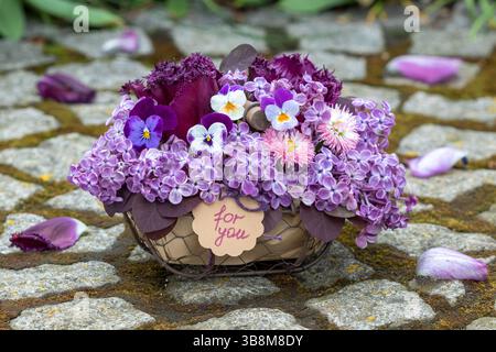 composizione floreale con fiori viola viola viola, tulipani, perennis bellis e fiori lilla in un cesto Foto Stock