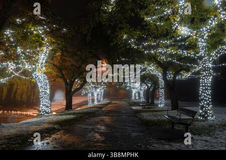 Luci scintillanti adornano i rami degli alberi lungo un sentiero tranquillo e nebbioso in un parco. Una panchina invita i visitatori a godersi l'atmosfera tranquilla degli eveni Foto Stock