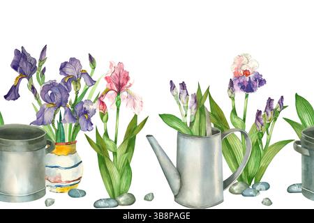 Bordo floreale ad acquerello senza cuciture. Fiori Iris rosa, viola, annaffiatoio, pentola, vaso con fiori, ciottoli, boccioli di fiori. Tutti gli oggetti sono mano Foto Stock
