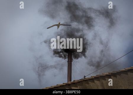 Vatikanstadt, Vaticano. 8 maggio 2025. Il fumo nero esce dal camino della Cappella Sistina durante il conclave per eleggere un nuovo papa in Vaticano. Crediti: Oliver Weiken/dpa/Alamy Live News Foto Stock